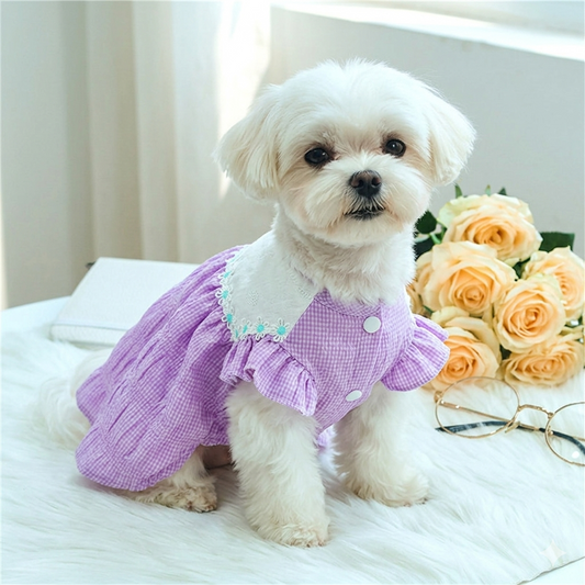 Spring and Summer Pet Clothes for Dogs and Cats